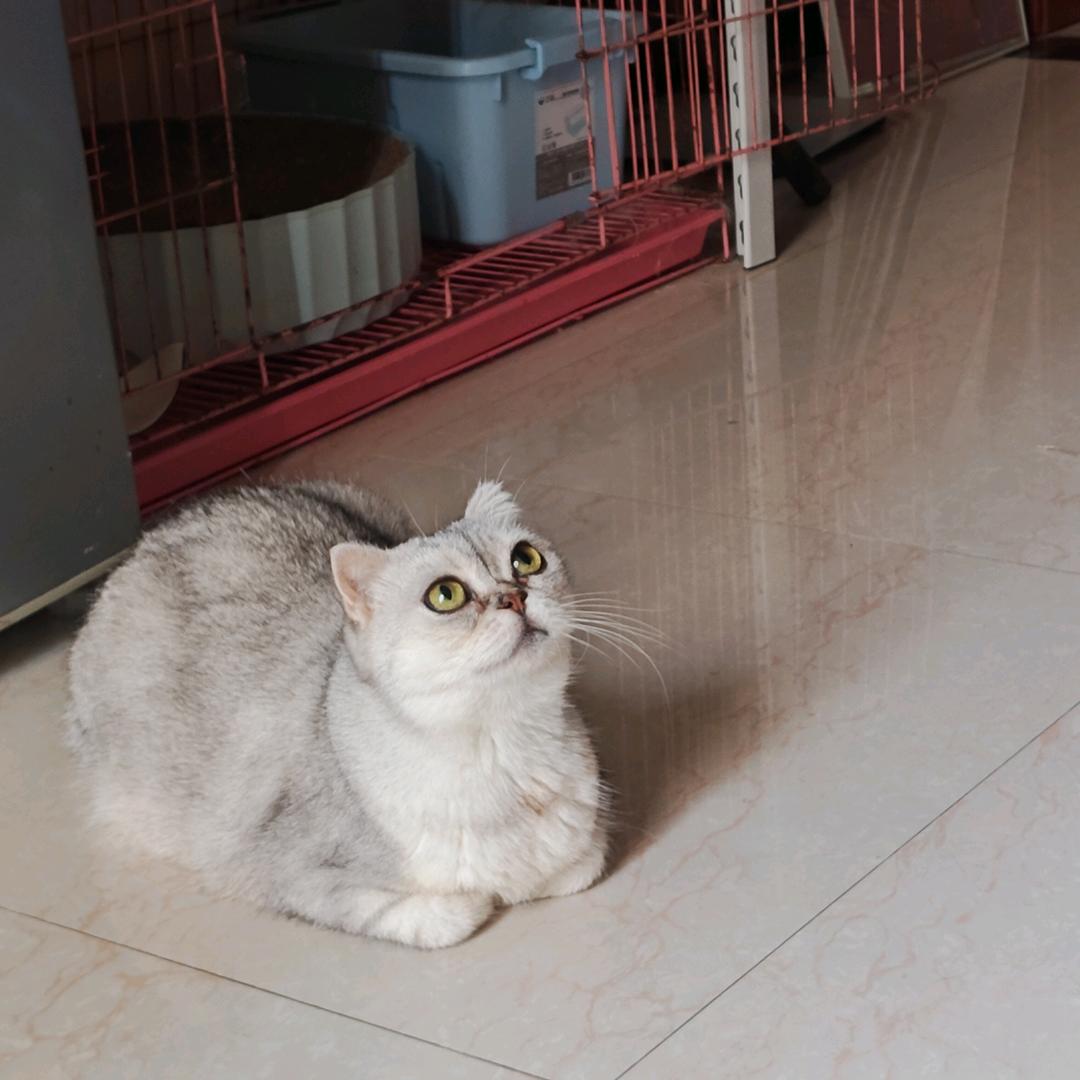 欢喜。