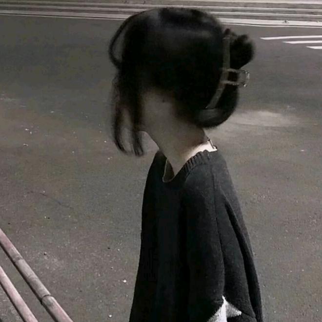 星河踏月归