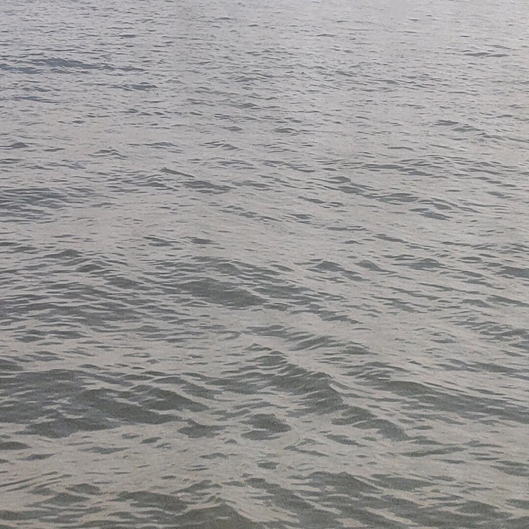 小凤姐