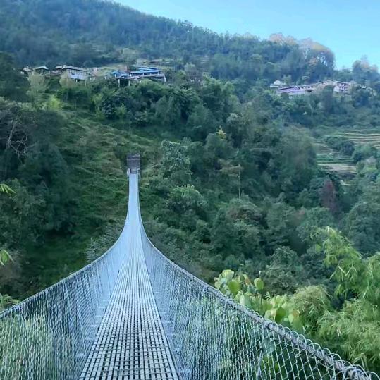 忽悠的世界真好玩