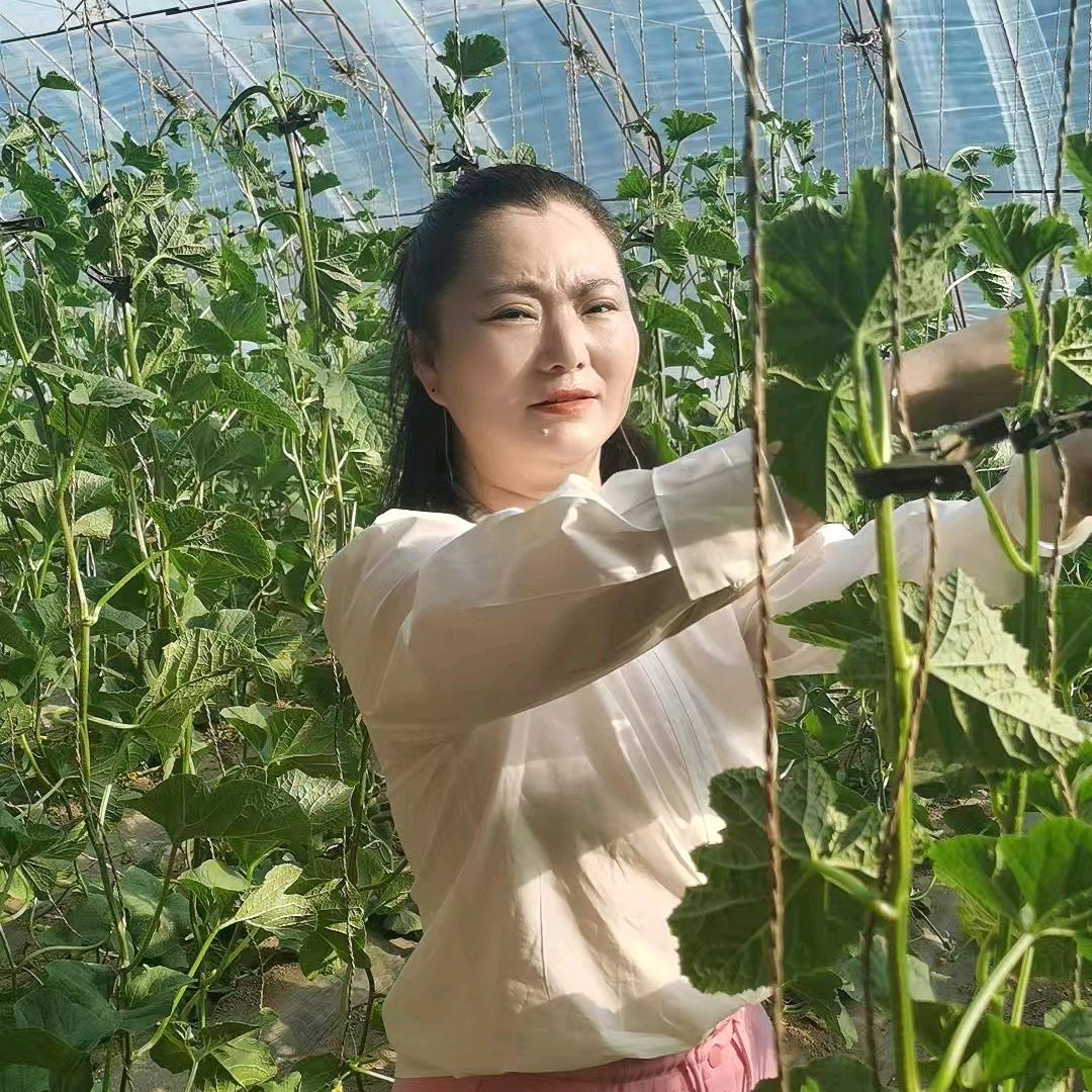 老王家新事儿