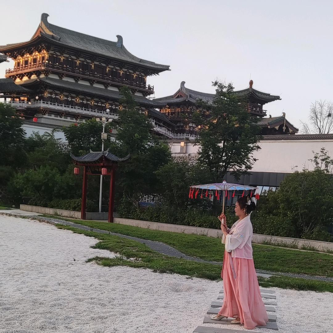 飞飞