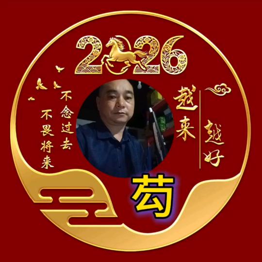 70后的龙（电音爱好者）