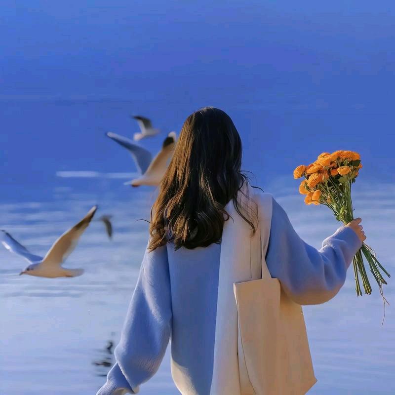 风花依旧笑春风