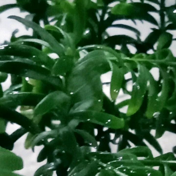 探索