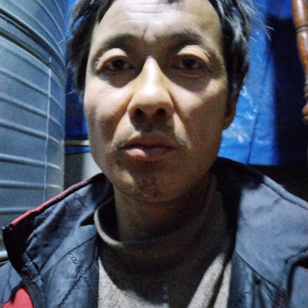 洛可可