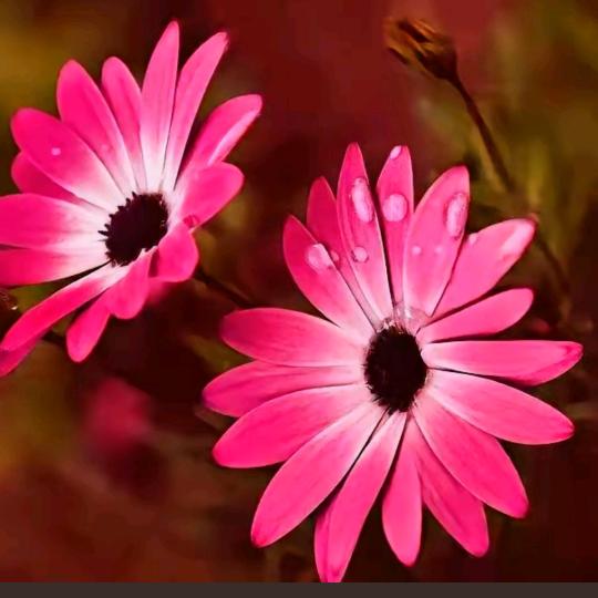 🧟‍♀️🧟‍♂️🧙‍♂️🧙‍♀️