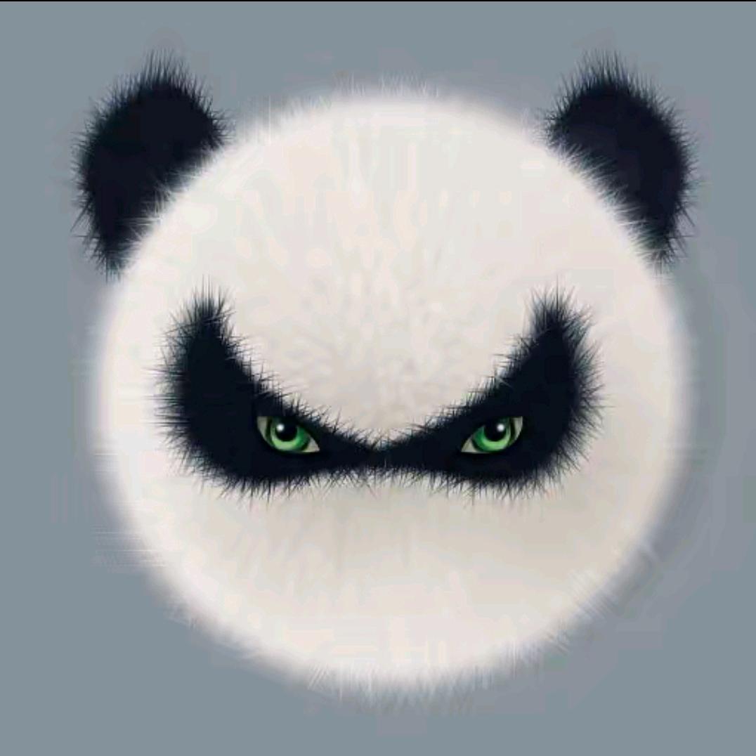 小绵羊