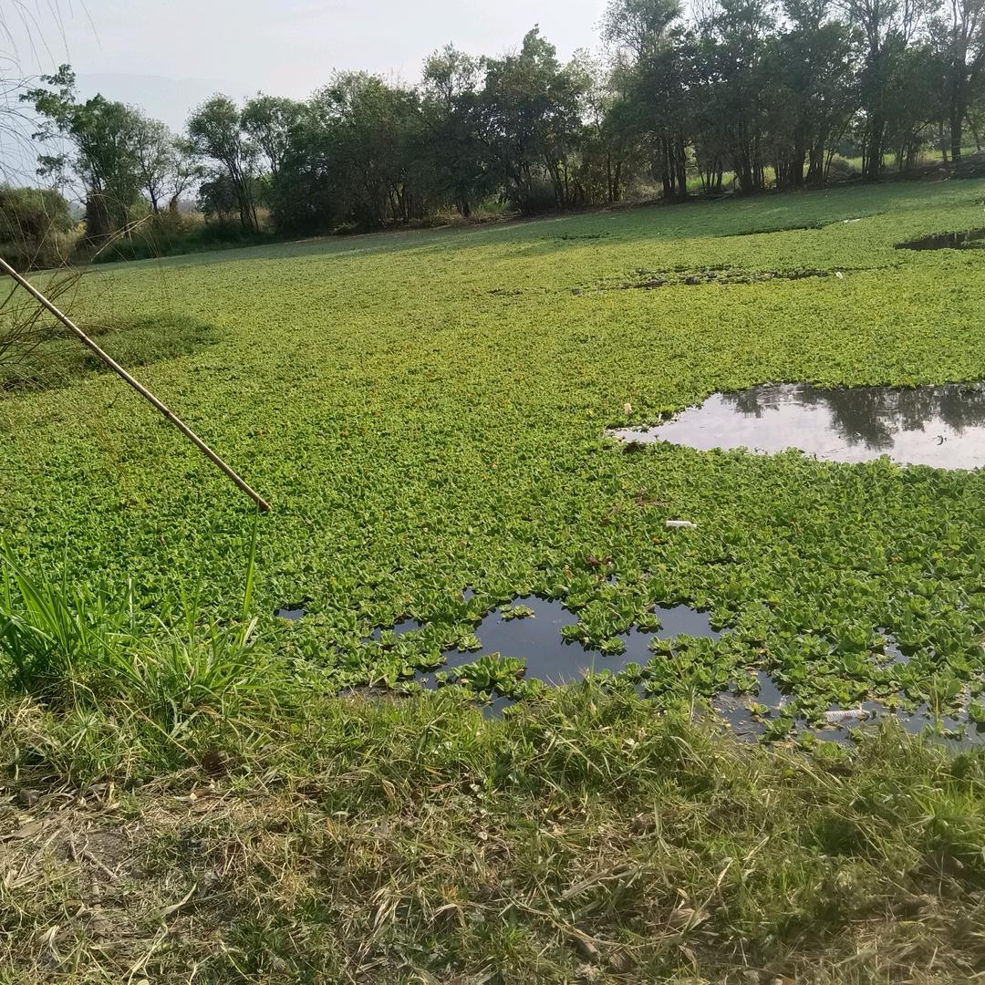 有谁懂人心冷暧