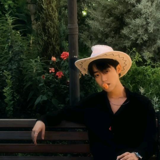 凌沐宸