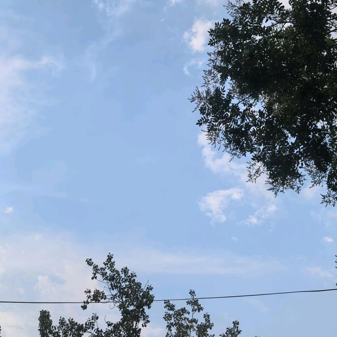 王赖斯