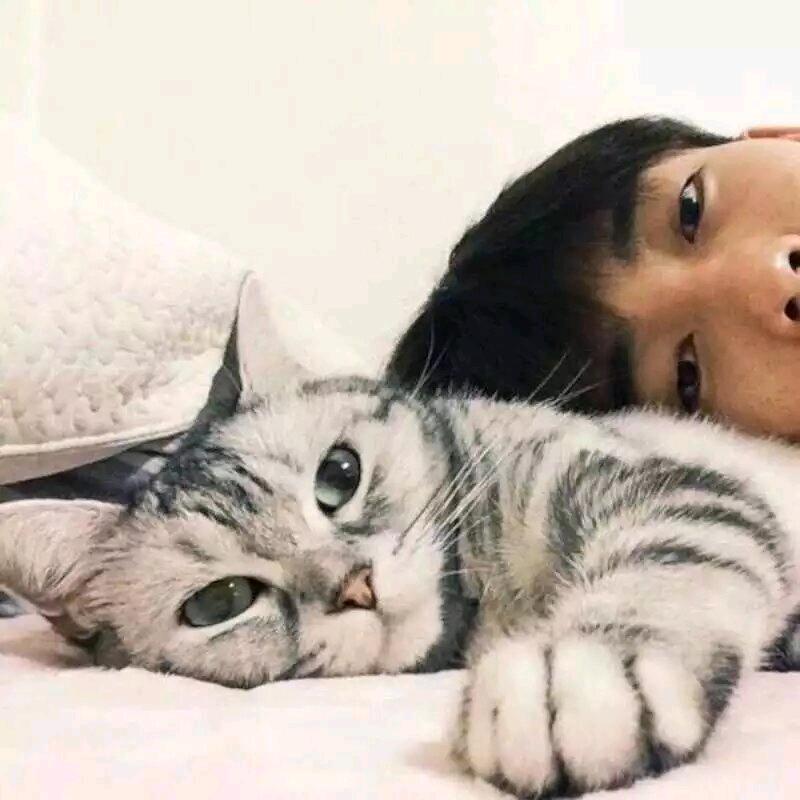 清风烈酒