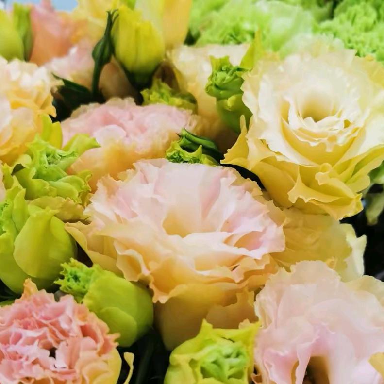 东北自助快餐盒饭