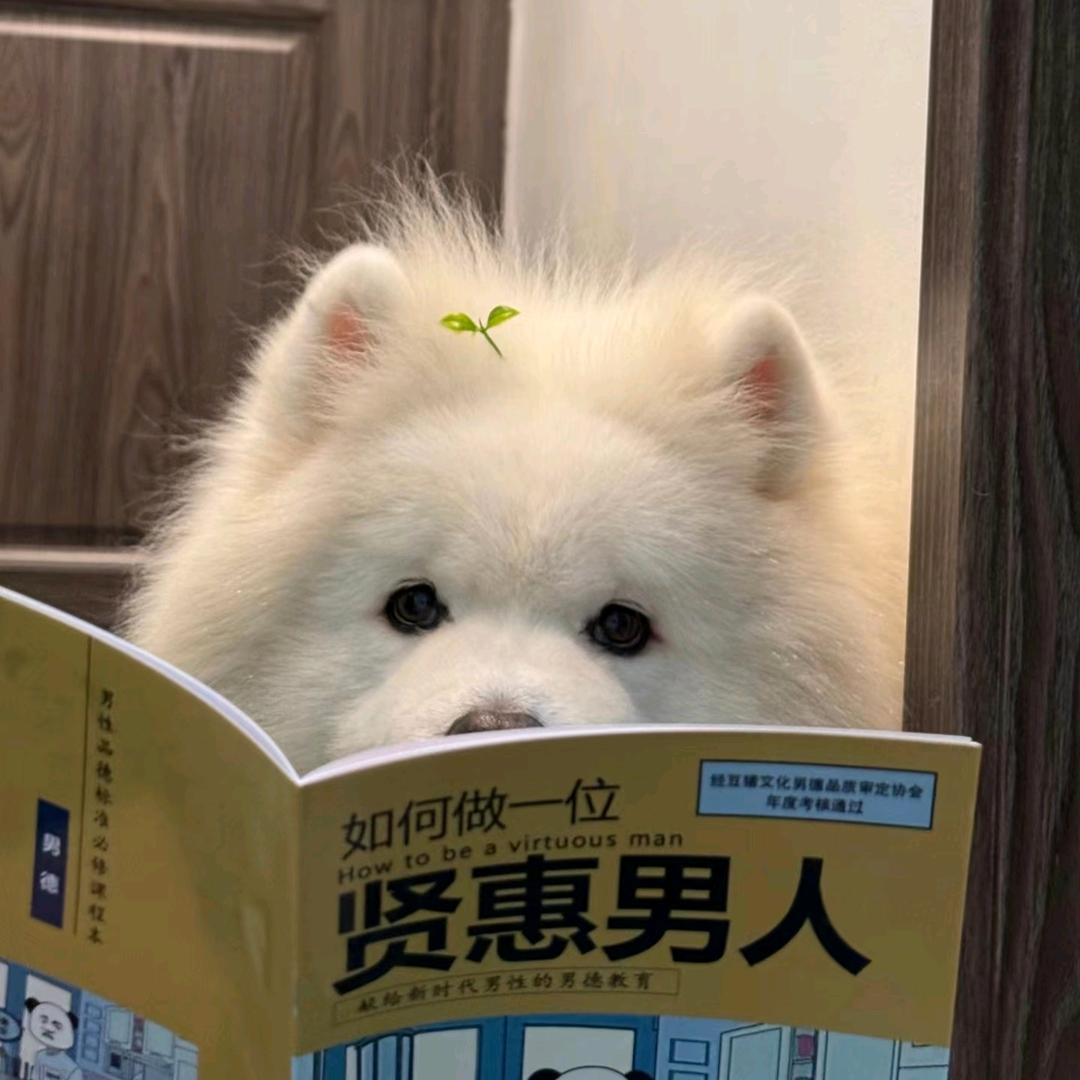 ～.～