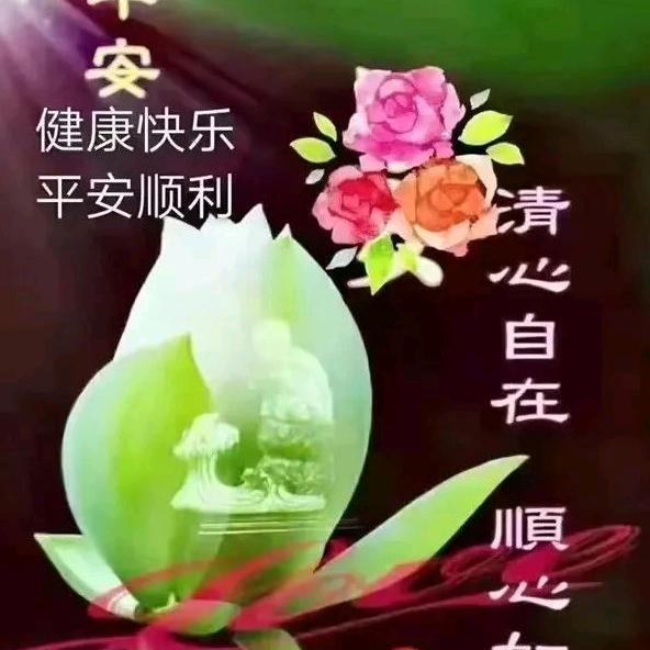 寻缘