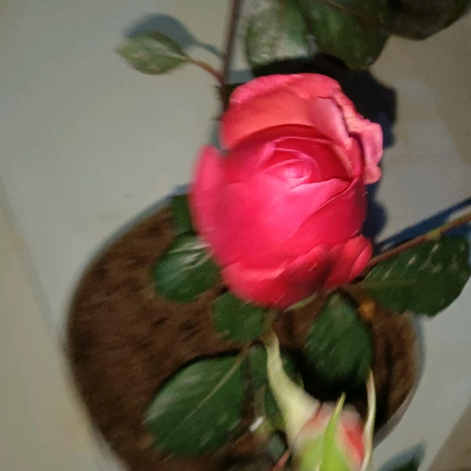 爱音乐的老男孩