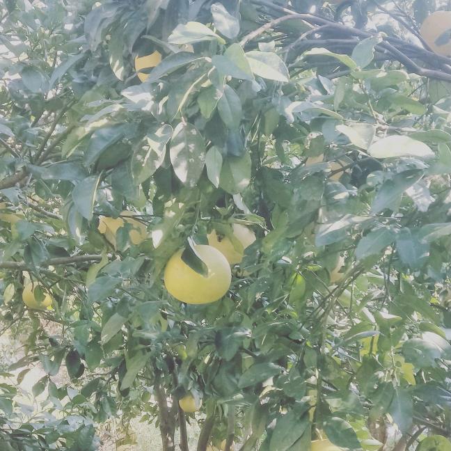 夏天2