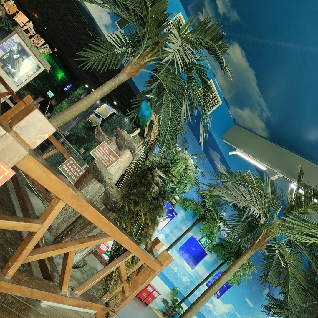 -执笔画情，忆人忆事