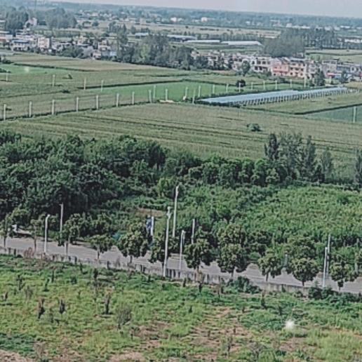 梅子( ❛⃘ ∨ ❜⃘⃘ )੭⁂🛵