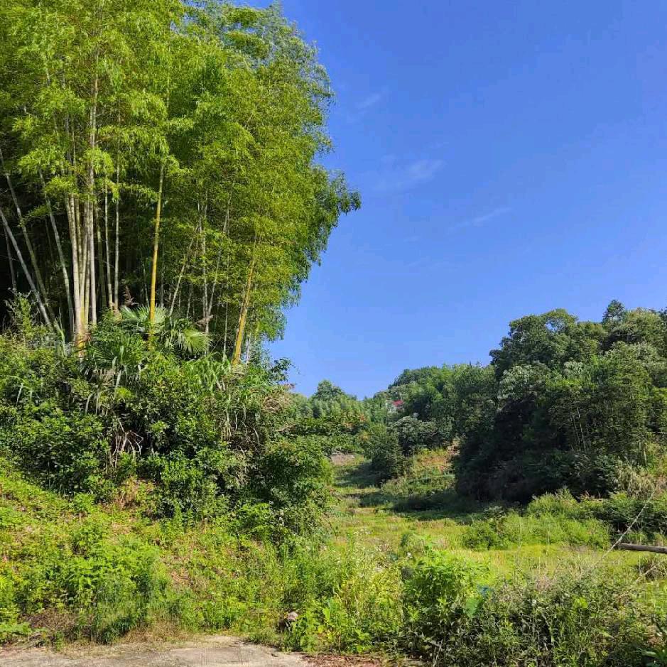 无所其谓（请不要连赞）