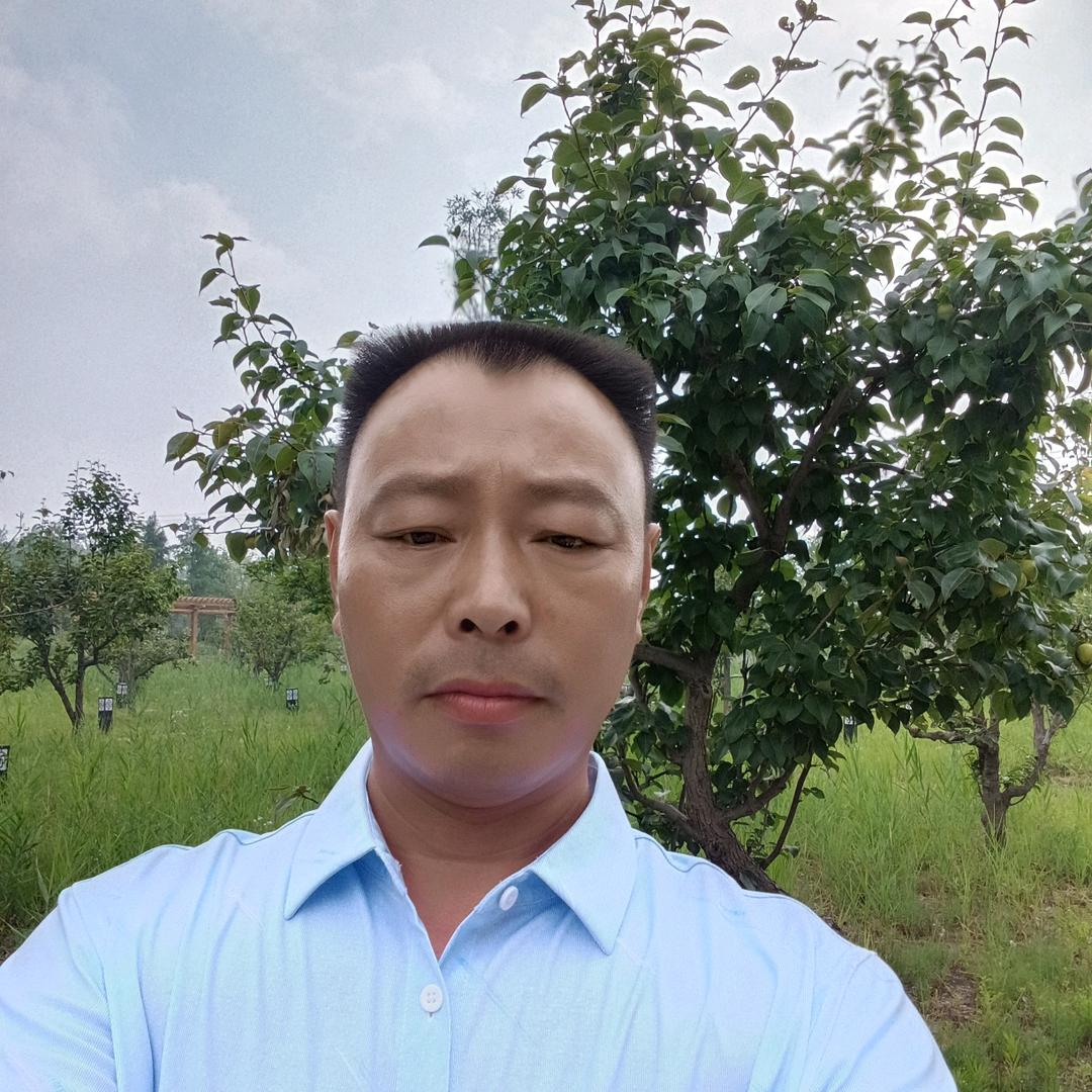 金大师美缝环氧彩沙