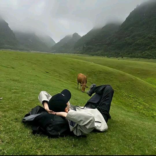 →向阳