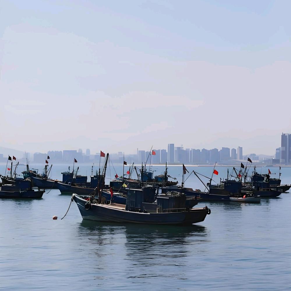青岛强子家的海鲜