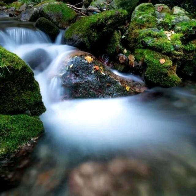 畅游中国（定制旅行）