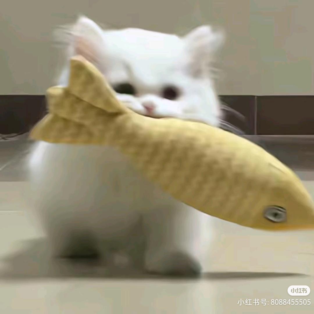 做快乐小小孩(见过十个勤天和许钊钊版)