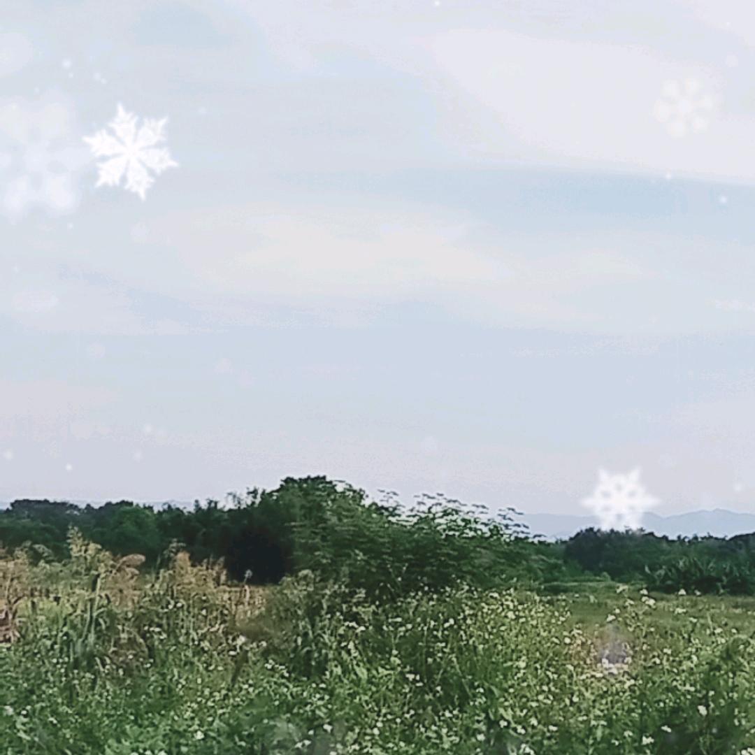 语过天晴