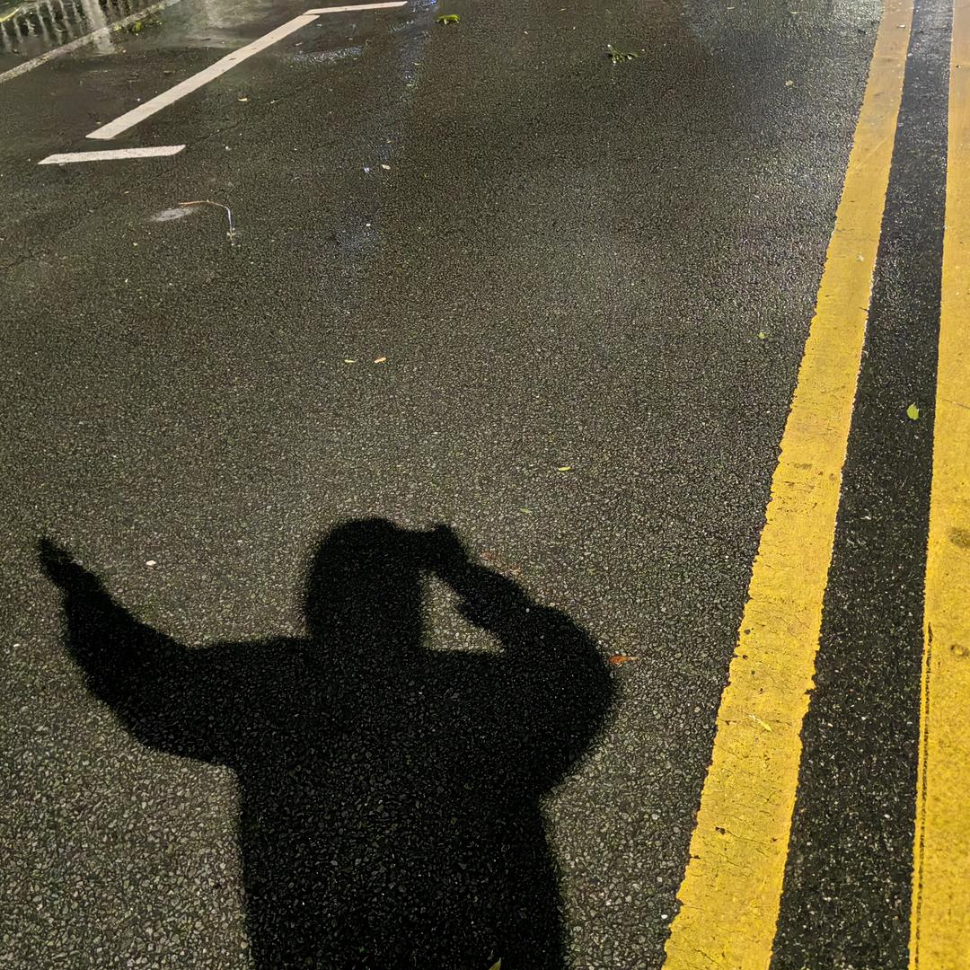 鲨鱼咯