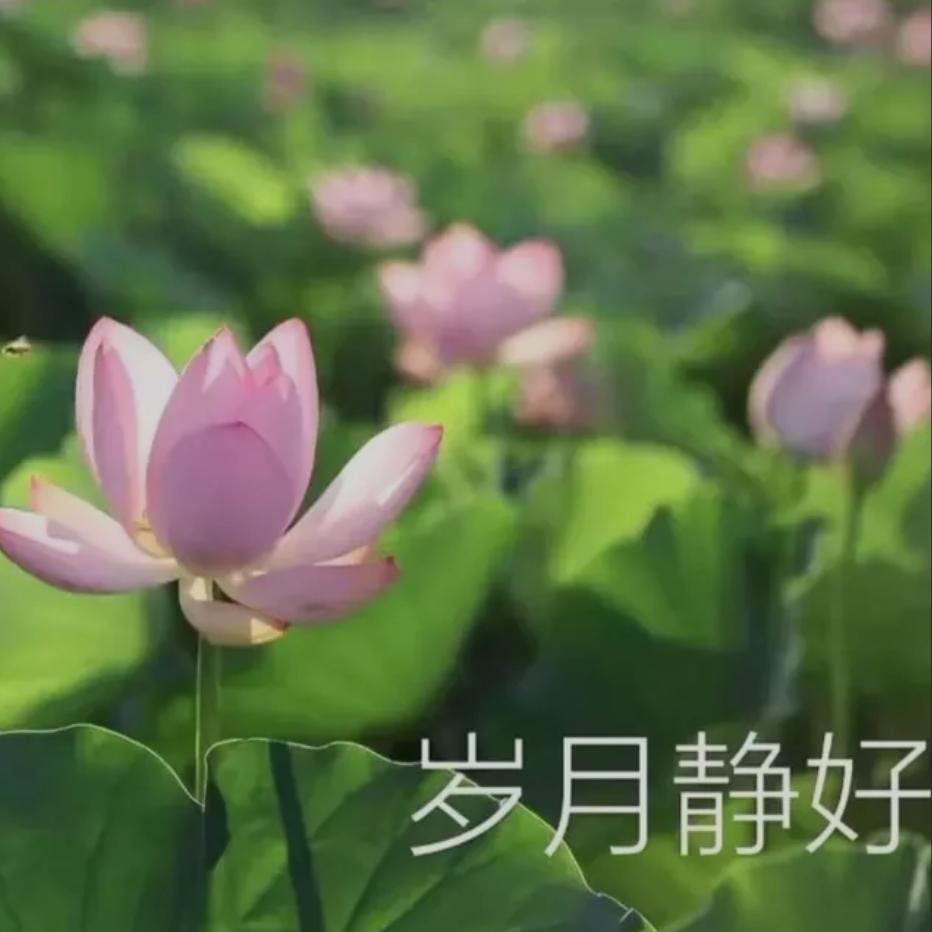 幸福时光