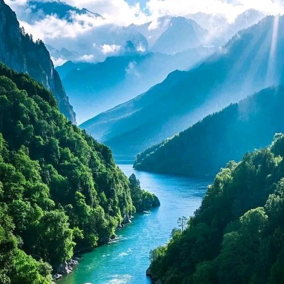 🇨🇳🇨🇳真愛🍁