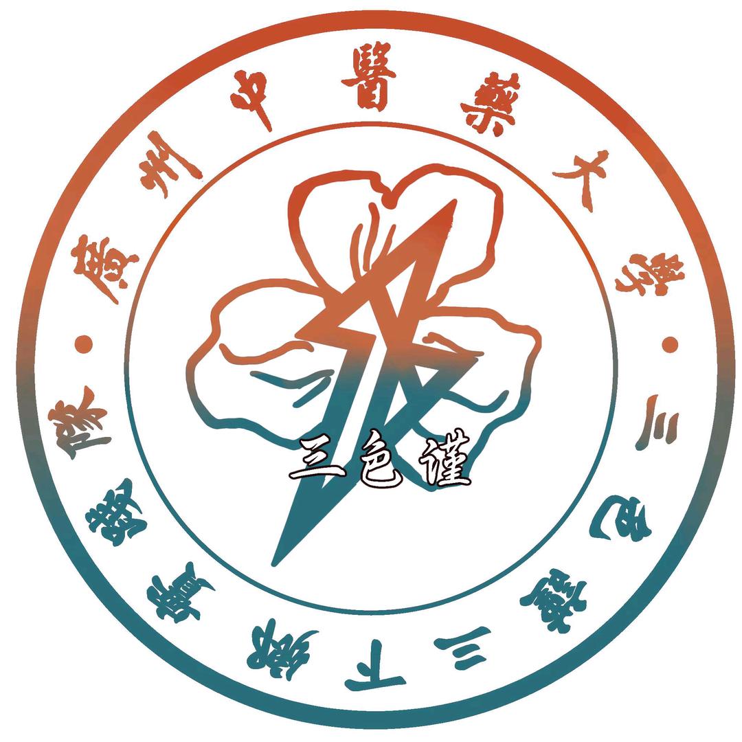 三色谨三下乡实践队