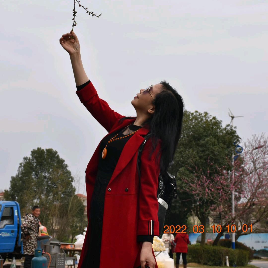 静心无忧