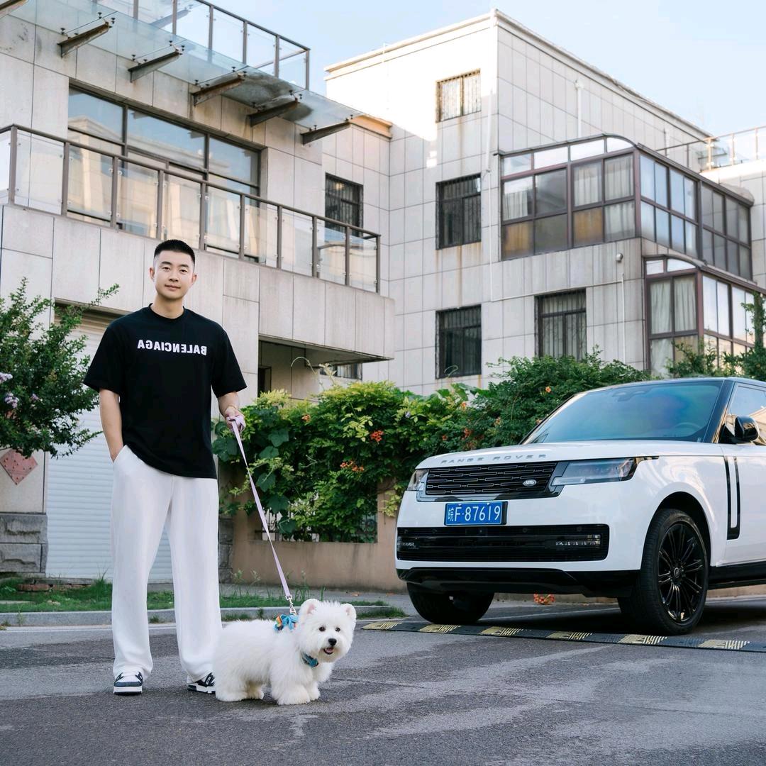 杜氏犬业西高地（宠粉版）——麦子