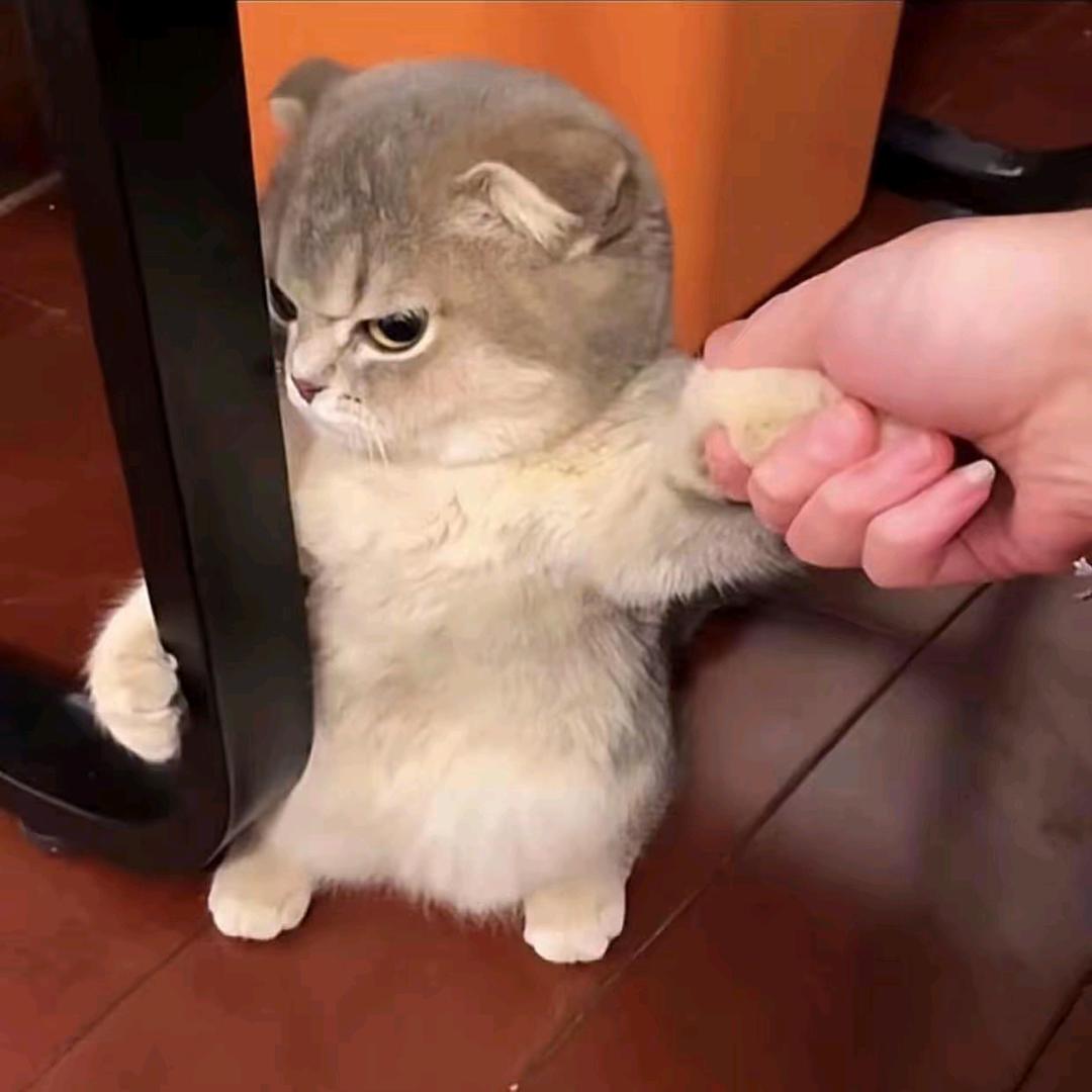 十栗