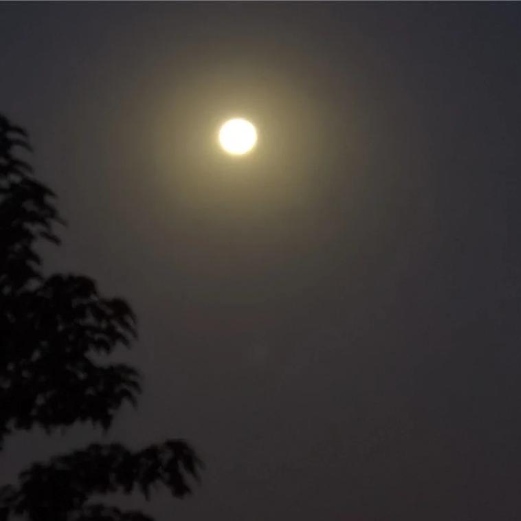 不靠谱的🐕🐶