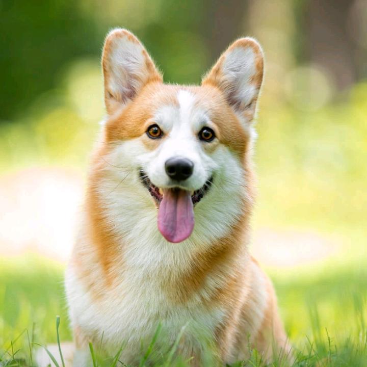 一个人的世界