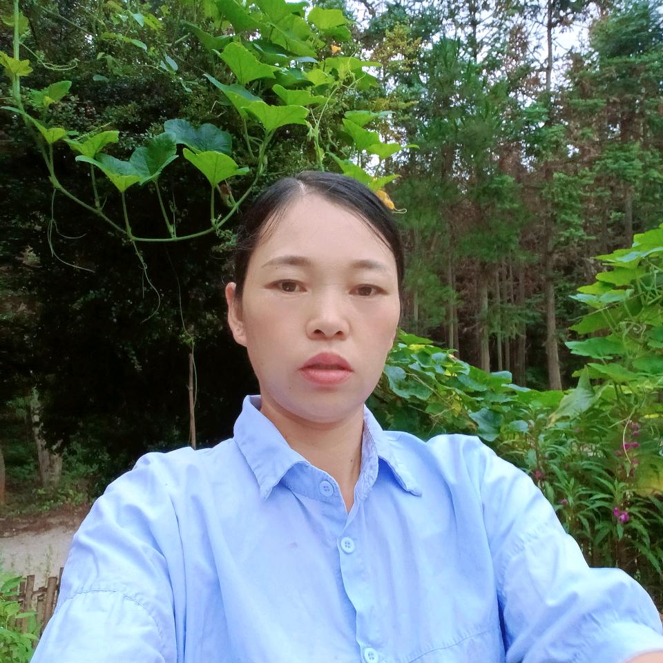 苹平姐 下午1：20