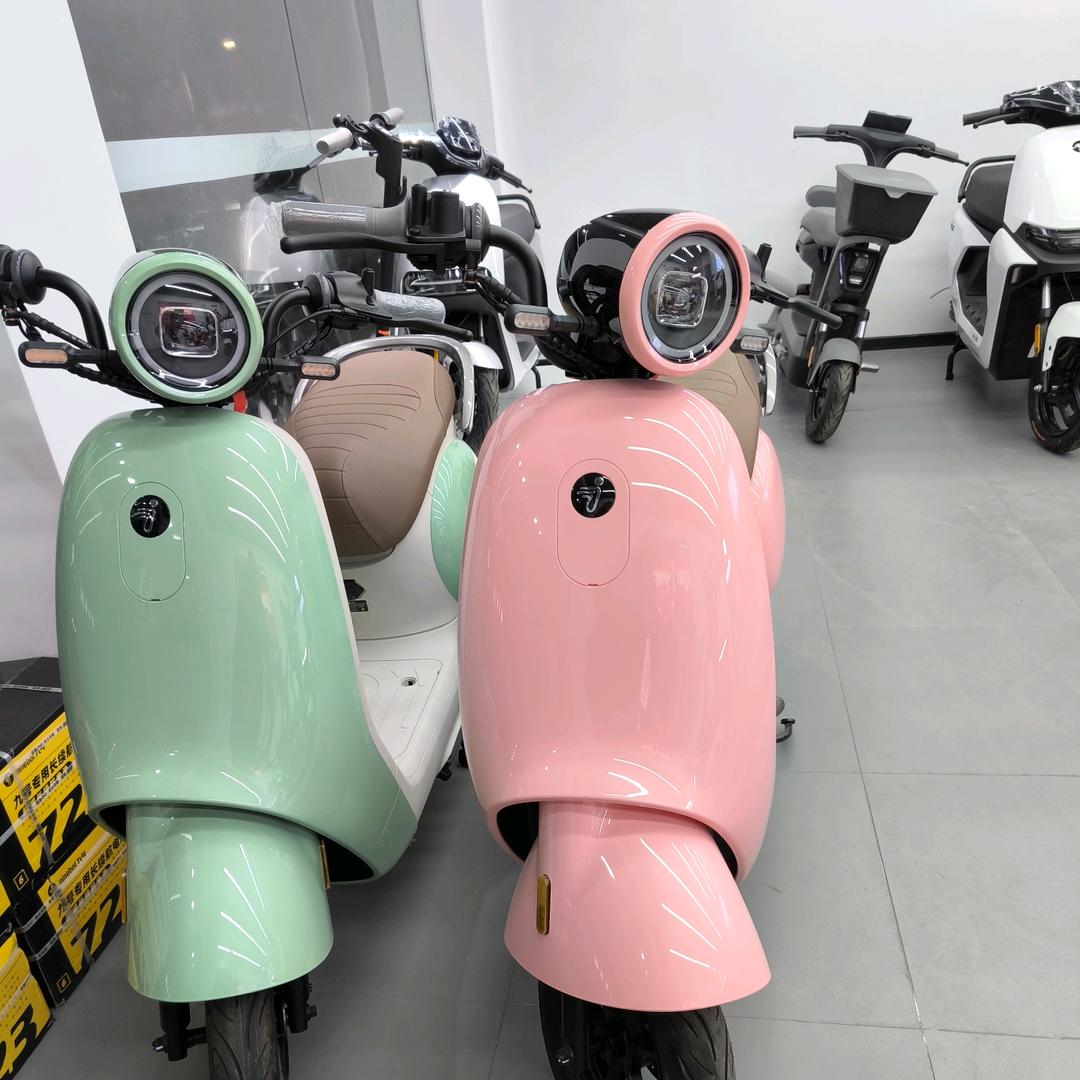 九号电动车（北厍新厍路店）
