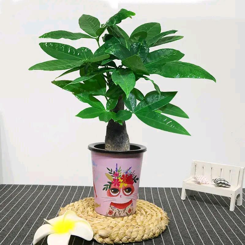 宁缺毋滥
