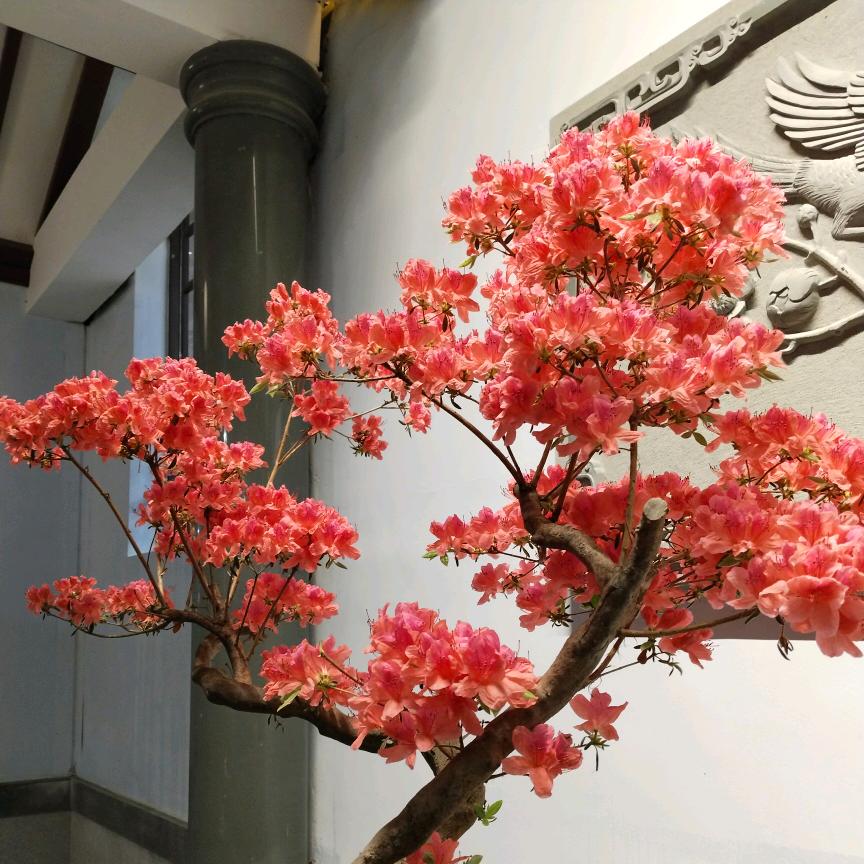 💞༊এ往事清零᭄༊💞