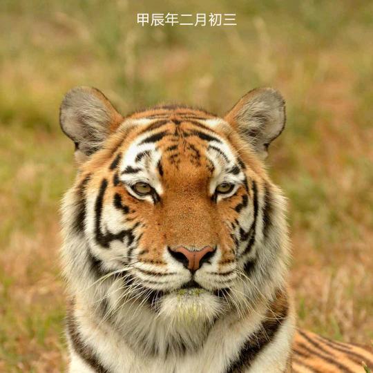 海是情深