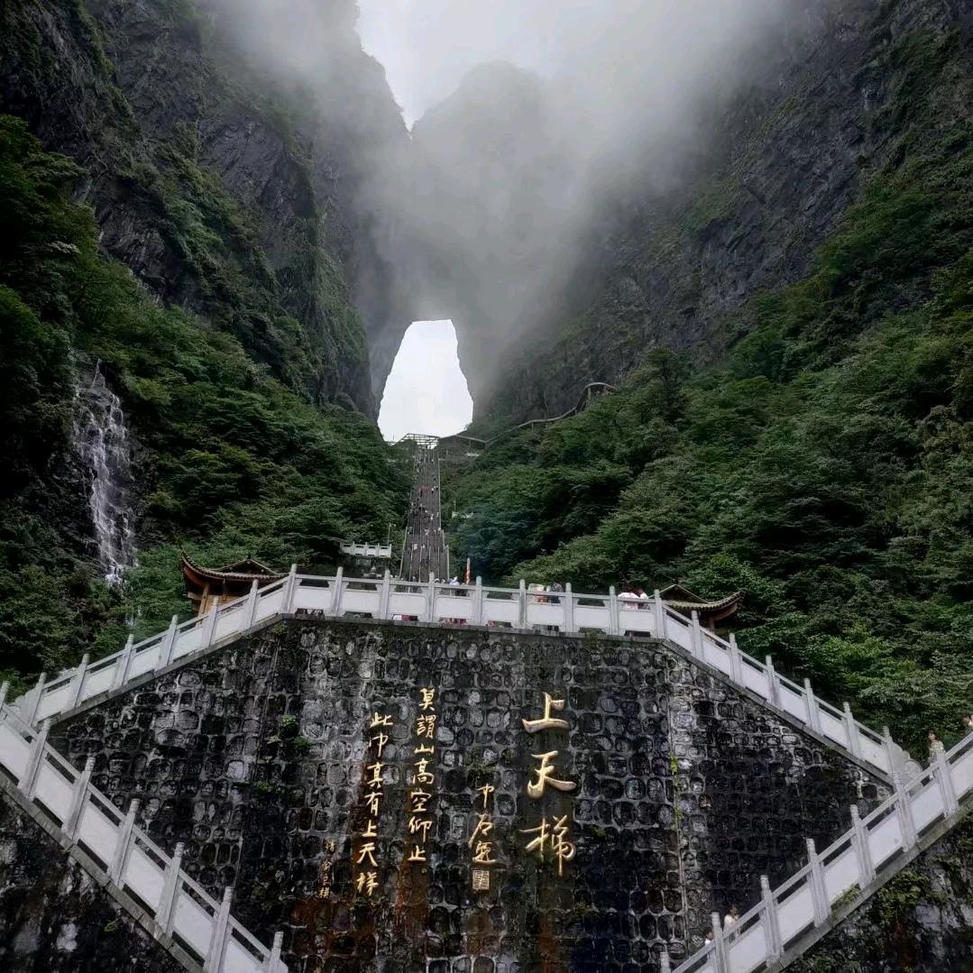 使命的前行