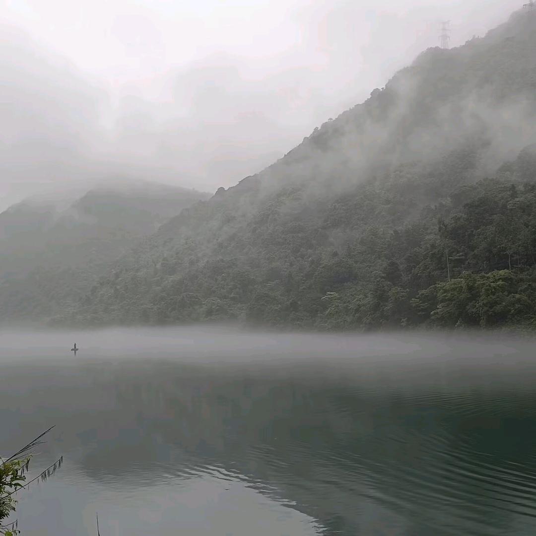 ♬