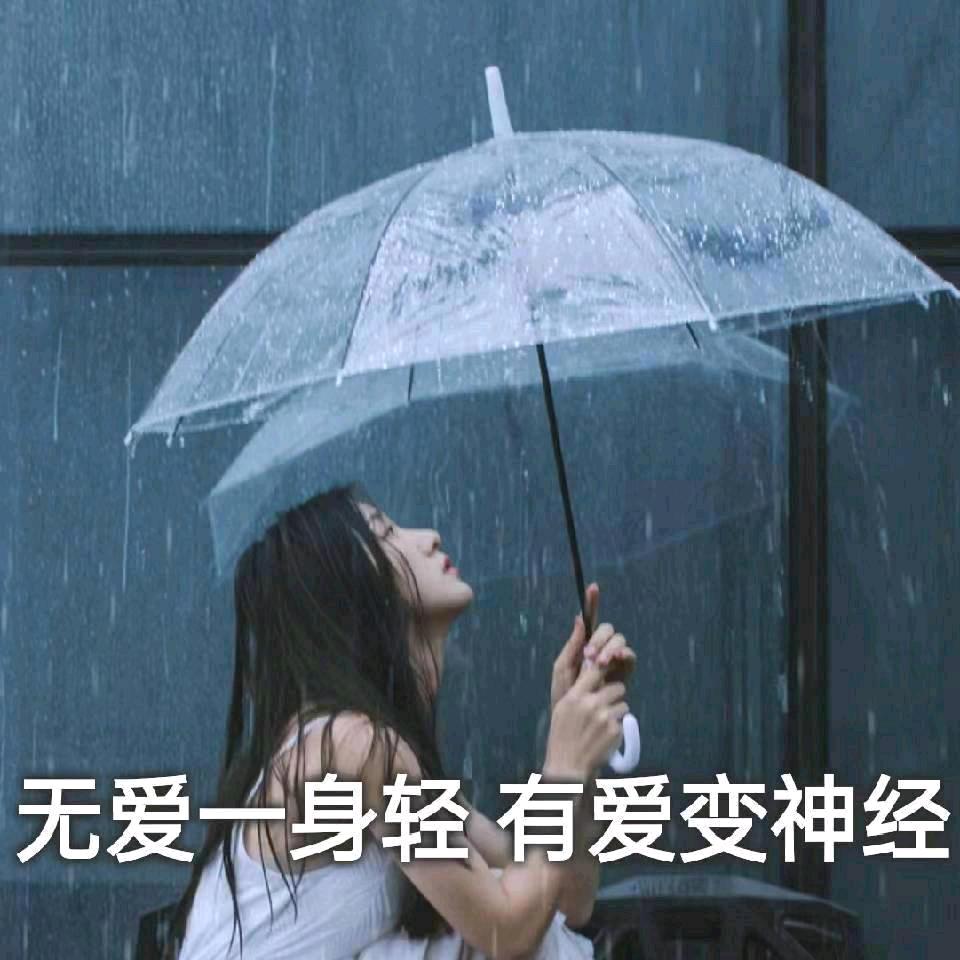怀念一生