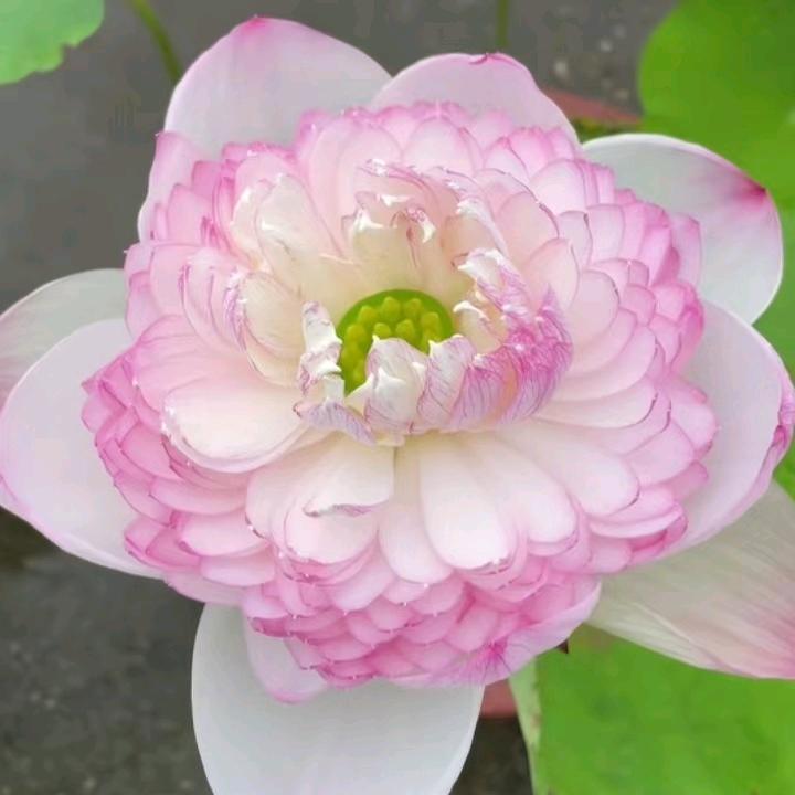 平安喜乐