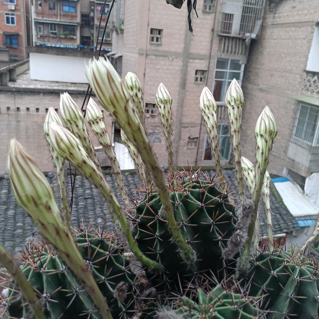 健康开心