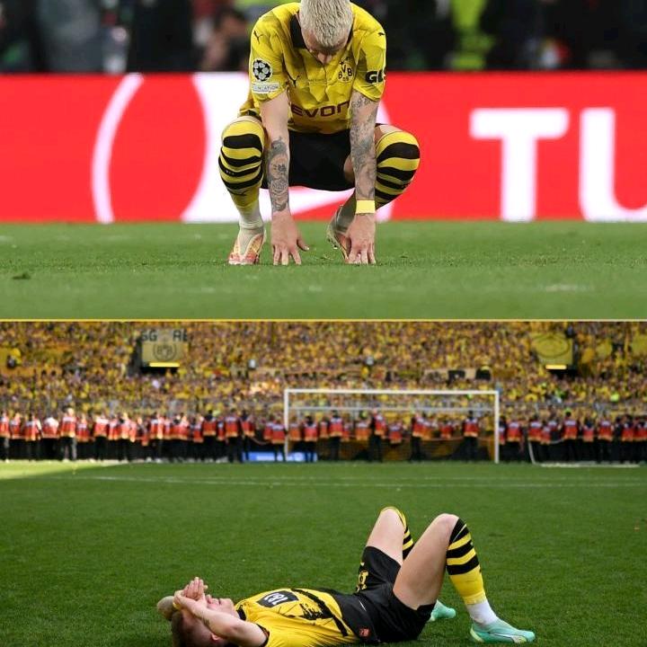 安工最后的纯爱